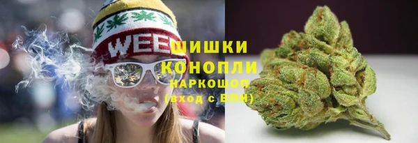 бошки Богданович